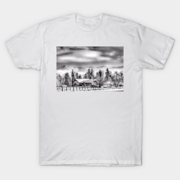 First Snow - Black And White T-Shirt by davidbstudios